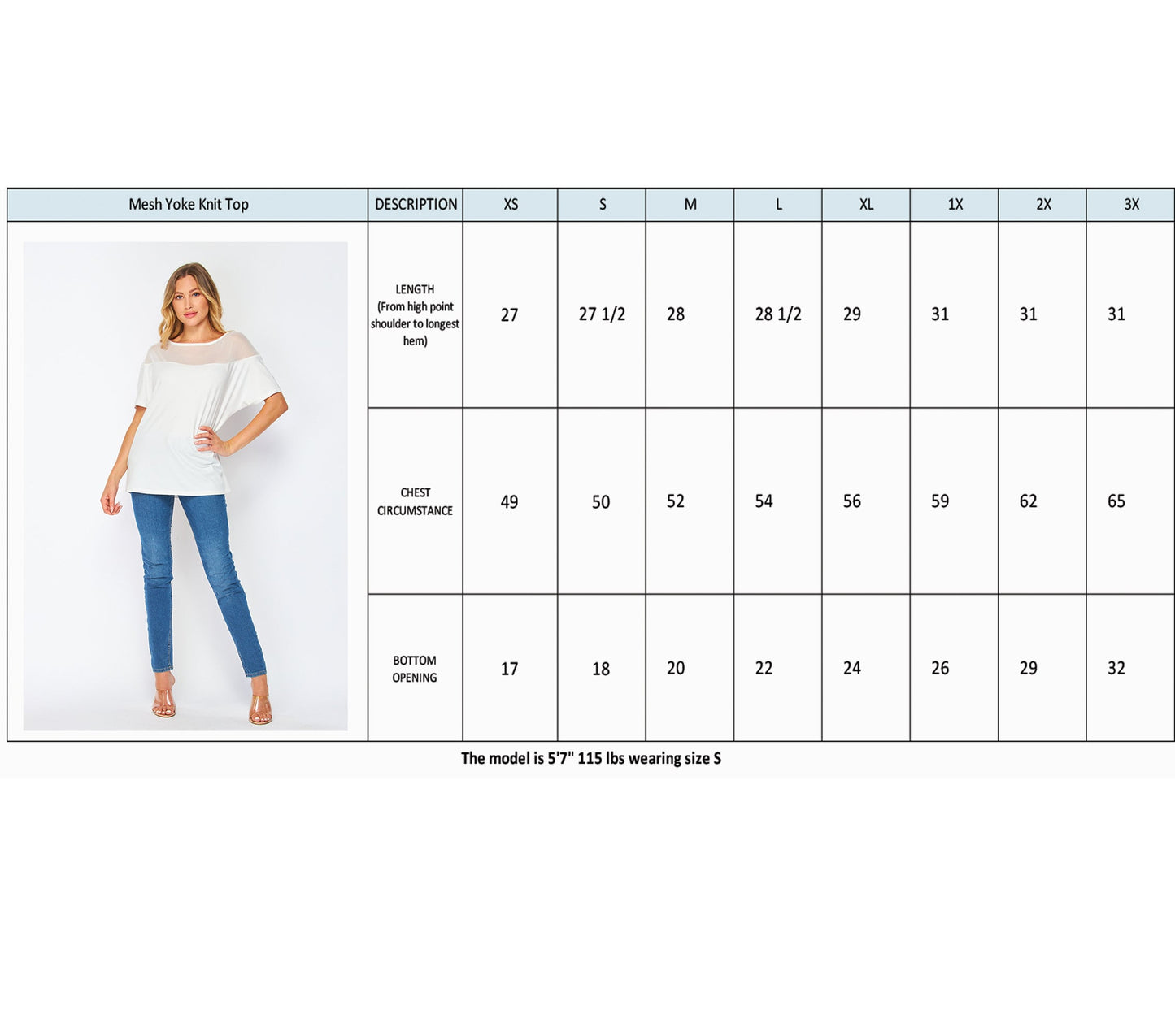 Mesh Yoke Loose Fit Dolman Sleeve Knit Top / Available in Plus Size